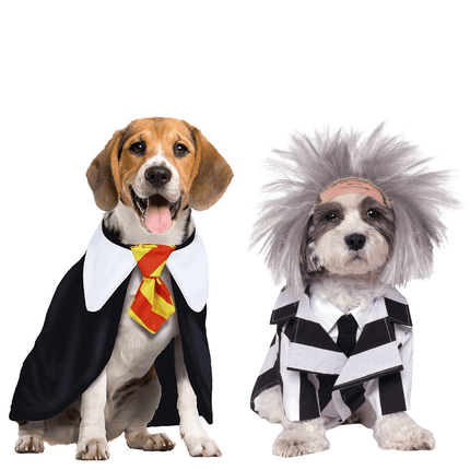 Honden_Carnaval
