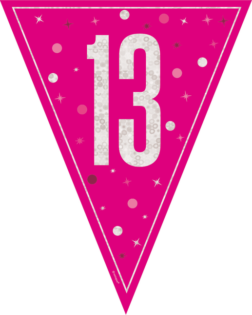 13 Jaar Slinger Roze 2,5m van Unique koop je bij Partywinkel