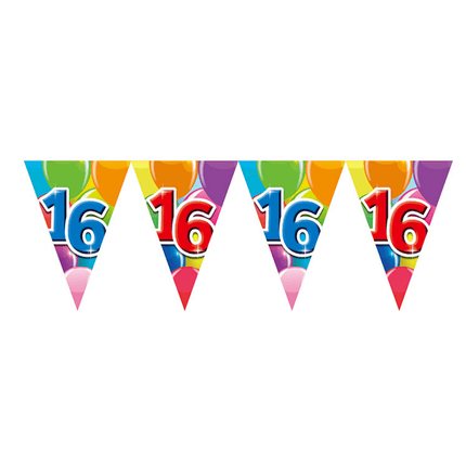 16 Jaar Slinger 10m van WeFiesta koop je bij Partywinkel