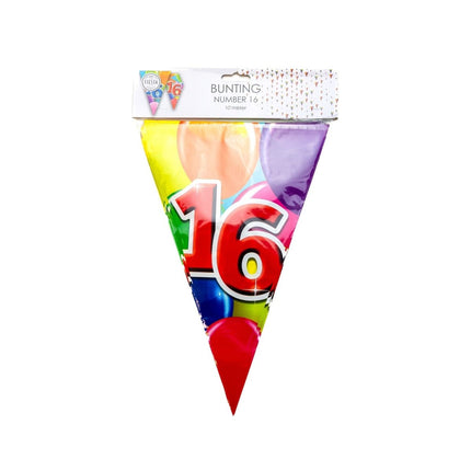 16 Jaar Slinger 10m van WeFiesta koop je bij Partywinkel