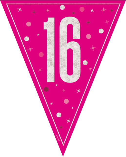 16 Jaar Slinger Roze 2,5m van Unique koop je bij Partywinkel