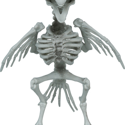 Crow Skeleton, Gray, 20 cm