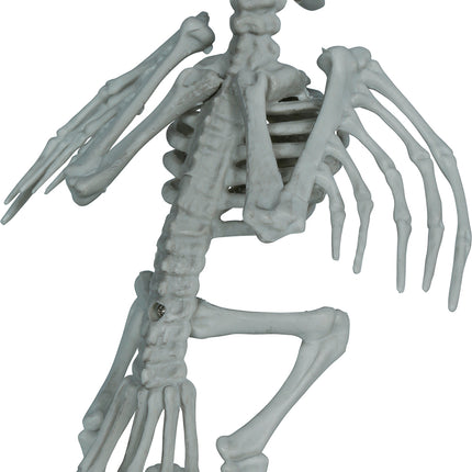 Crow Skeleton, Gray, 20 cm