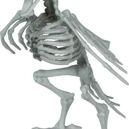 Crow Skeleton, Gray, 20 cm