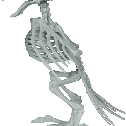 Crow Skeleton, Gray, 20 cm