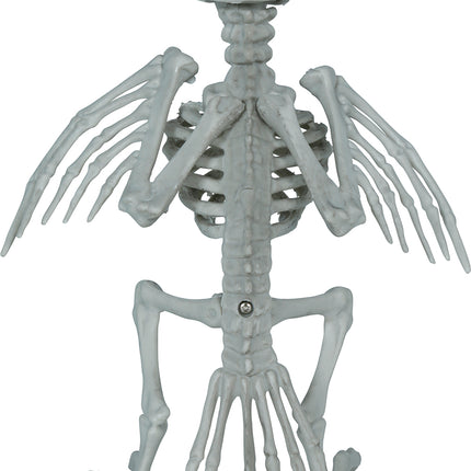 Crow Skeleton, Gray, 20 cm