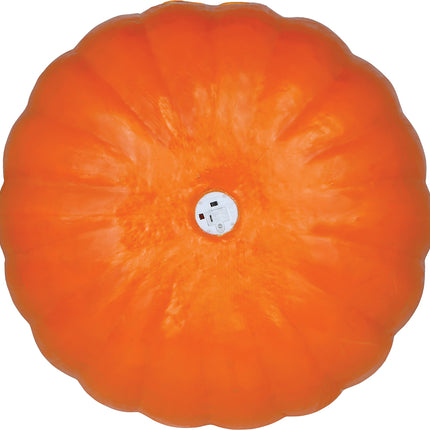 Halloween Pumpkin with Light, 45 cm