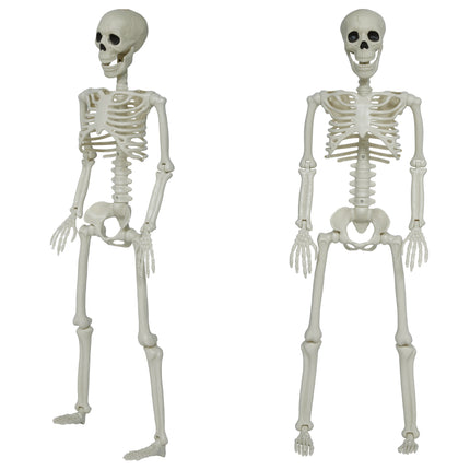 Halloween Skeleton, Articulated
