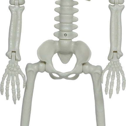 Halloween Skeleton, Articulated