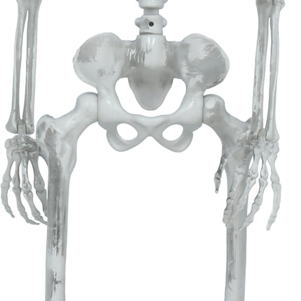 Halloween Skeleton, Articulated, 1.4 m