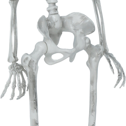 Halloween Skeleton, Articulated, 1.4 m