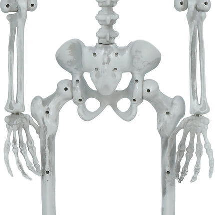 Halloween Skeleton, Articulated, 1.4 m