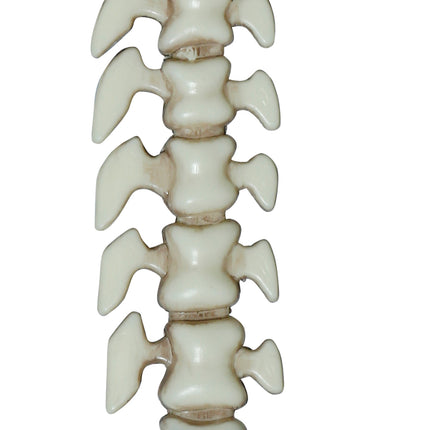 Halloween Fake Sword with Bones, 65 cm