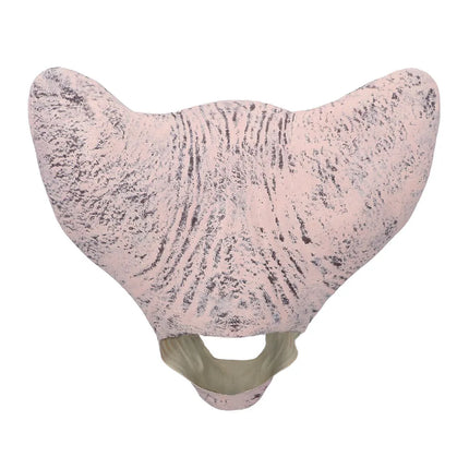 Latex Head Mask: Horror Cat