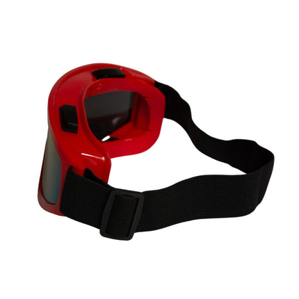 Red and Black Ski Goggles