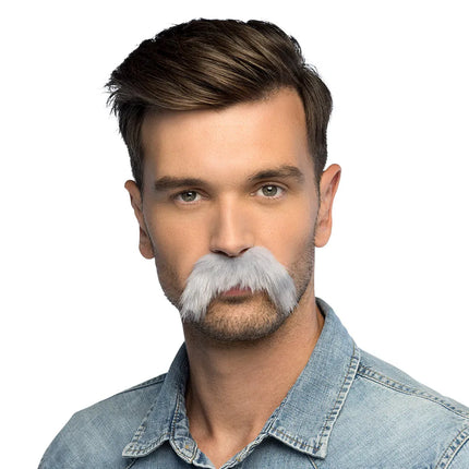 Gray mustache