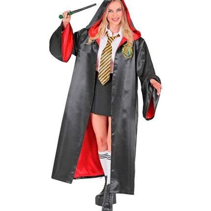 THE WIZARD'S APPRENTICE