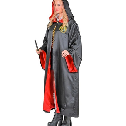 THE WIZARD'S APPRENTICE