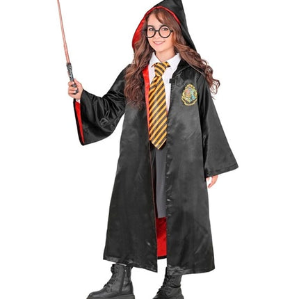 THE WIZARD'S APPRENTICE