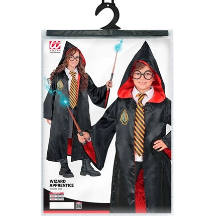 THE WIZARD'S APPRENTICE