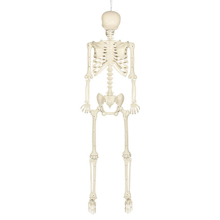 Skinny Skeleton Wall Decoration (160 cm)