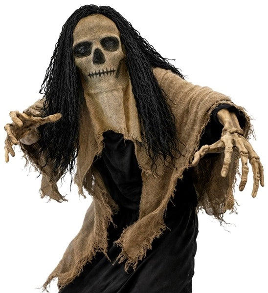 Skull Mask with Cape and Hair