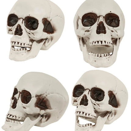 SKULL WITH MOVABLE JAW, 18 CM