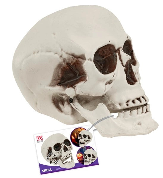Halloween Skull with a Movable Jaw