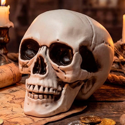 SKULL WITH MOVABLE JAW, 18 CM