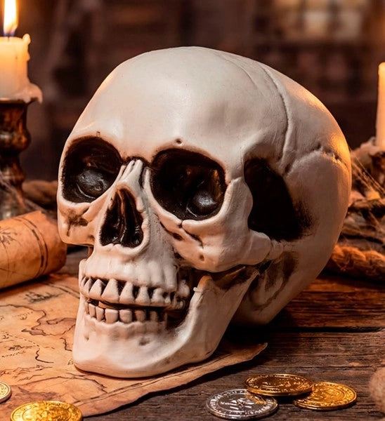 Halloween Skull with a Movable Jaw