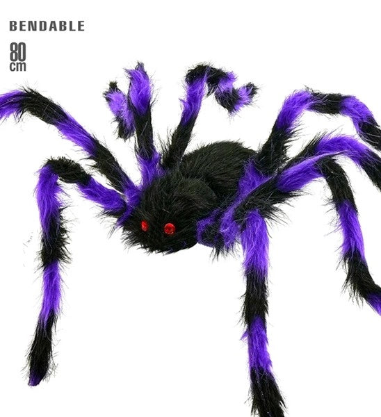 Black and Purple Hairy Spider with Flexible Legs