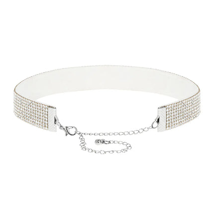 Crystal Silver Choker