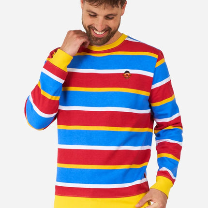 Ernie Sesame Street Sweater for Adults