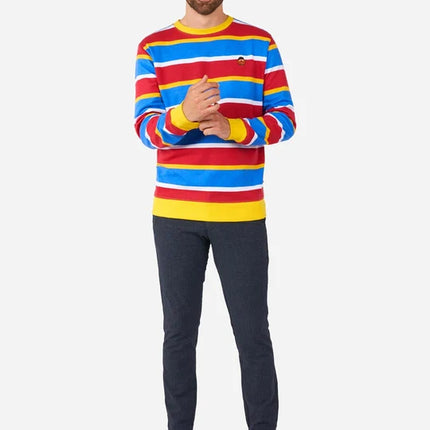 Ernie Sesame Street Sweater for Adults