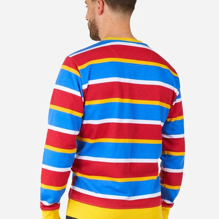 Ernie Sesame Street Sweater for Adults