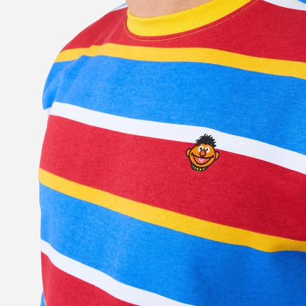 Ernie Sesame Street Sweater for Adults