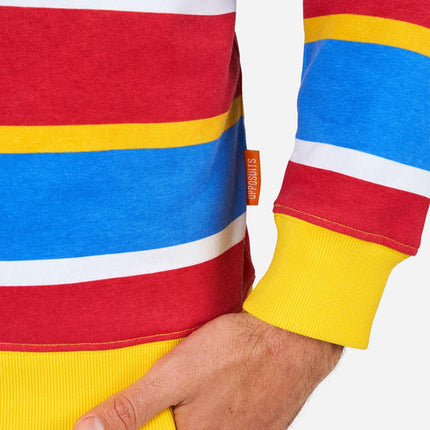 Ernie Sesame Street Sweater for Adults