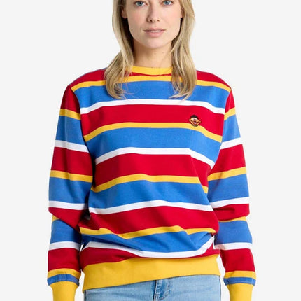 Ernie Sesame Street Sweater for Adults