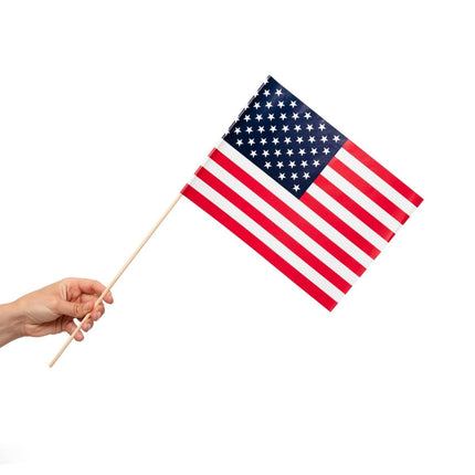 Amerika Vlag 10st van WeFiesta koop je bij Partywinkel