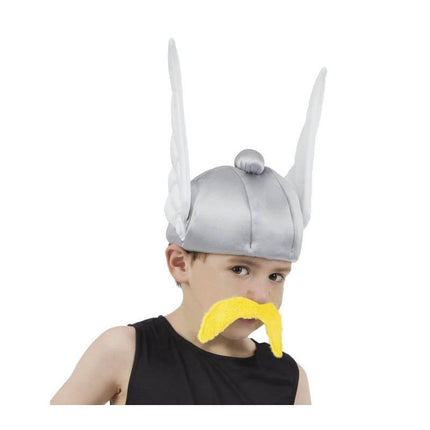 Asterix Helm Kind van CHAKS koop je bij Partywinkel