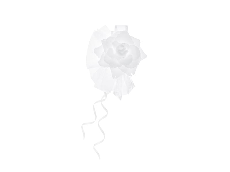 Autodecoratie Bloem Wit 14cm 4st van Partydeco koop je bij Partywinkel