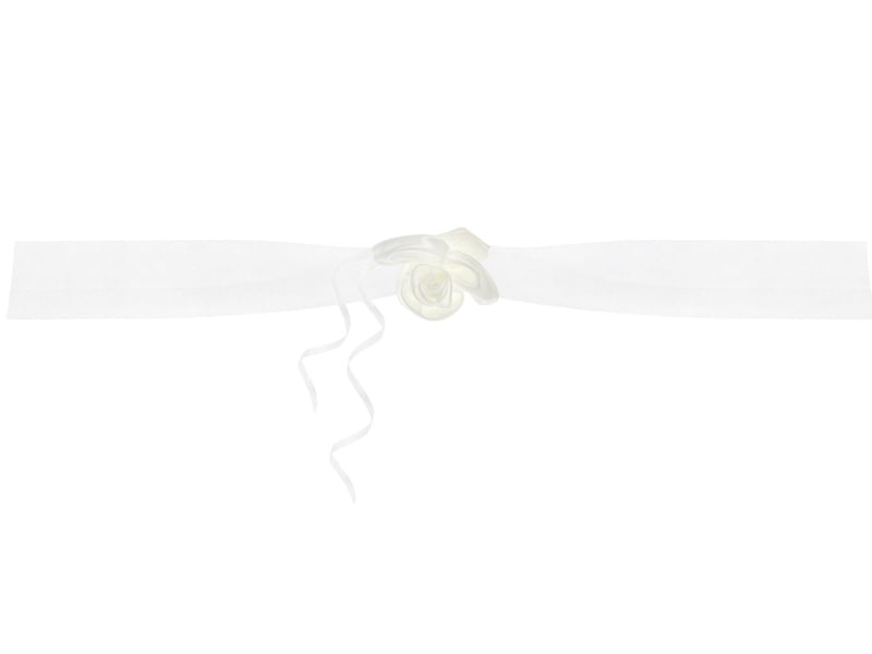 Autodecoratie Creme 1,8m 2st van Partydeco koop je bij Partywinkel