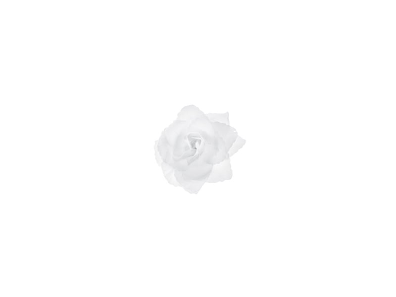 Autodecoratie Rozen Wit 9cm 24st van Partydeco koop je bij Partywinkel