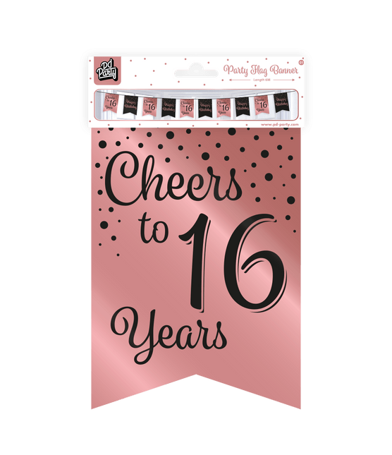 Banner 16 Jaar Roze Zwart 6m van Paper Dreams koop je bij Partywinkel