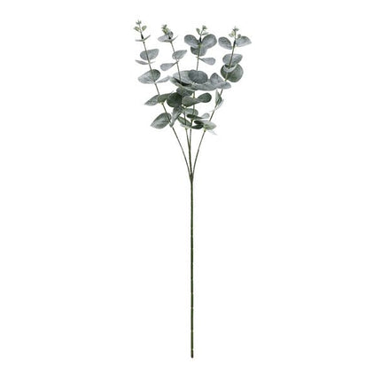 Bladeren Droogbloemen Eucalyptus 60cm van Partydeco koop je bij Partywinkel