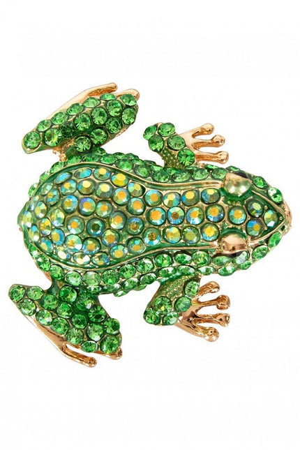 Broche Kikker 5X4.5Cm van PartyXplosion koop je bij Partywinkel