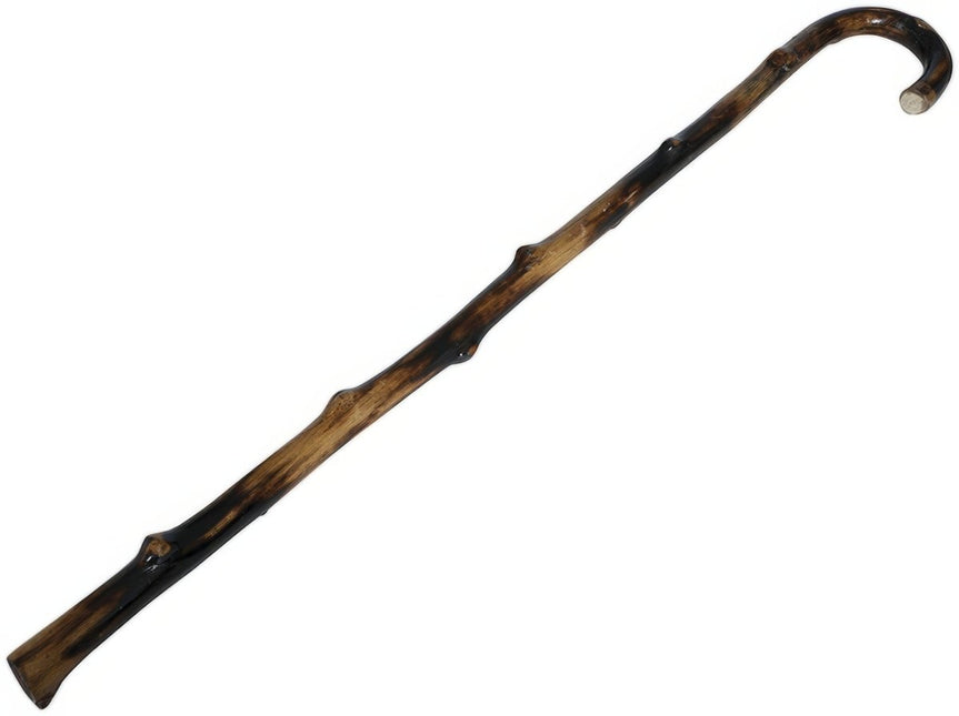 Bruine Wandelstok 95cm van Fiestas Guirca koop je bij Partywinkel