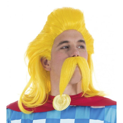 Cacofonix Asterix Baard en Pruik Set van CHAKS koop je bij Partywinkel