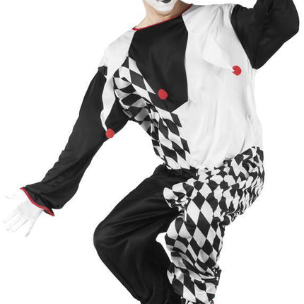 Clownspak Jester M/L van Boland koop je bij Partywinkel