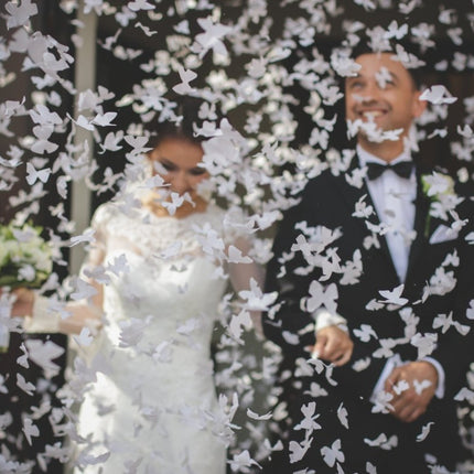 Confetti Kanon Vlinders Wit 80cm van Partydeco koop je bij Partywinkel